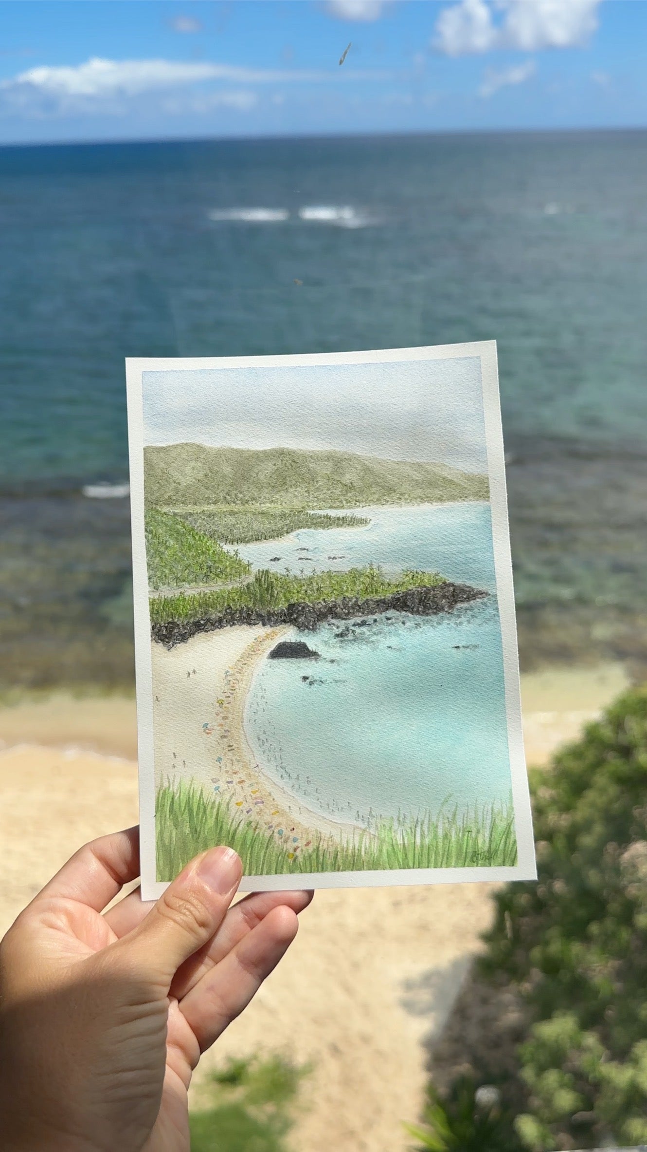 Waimea Bay Lookout Print