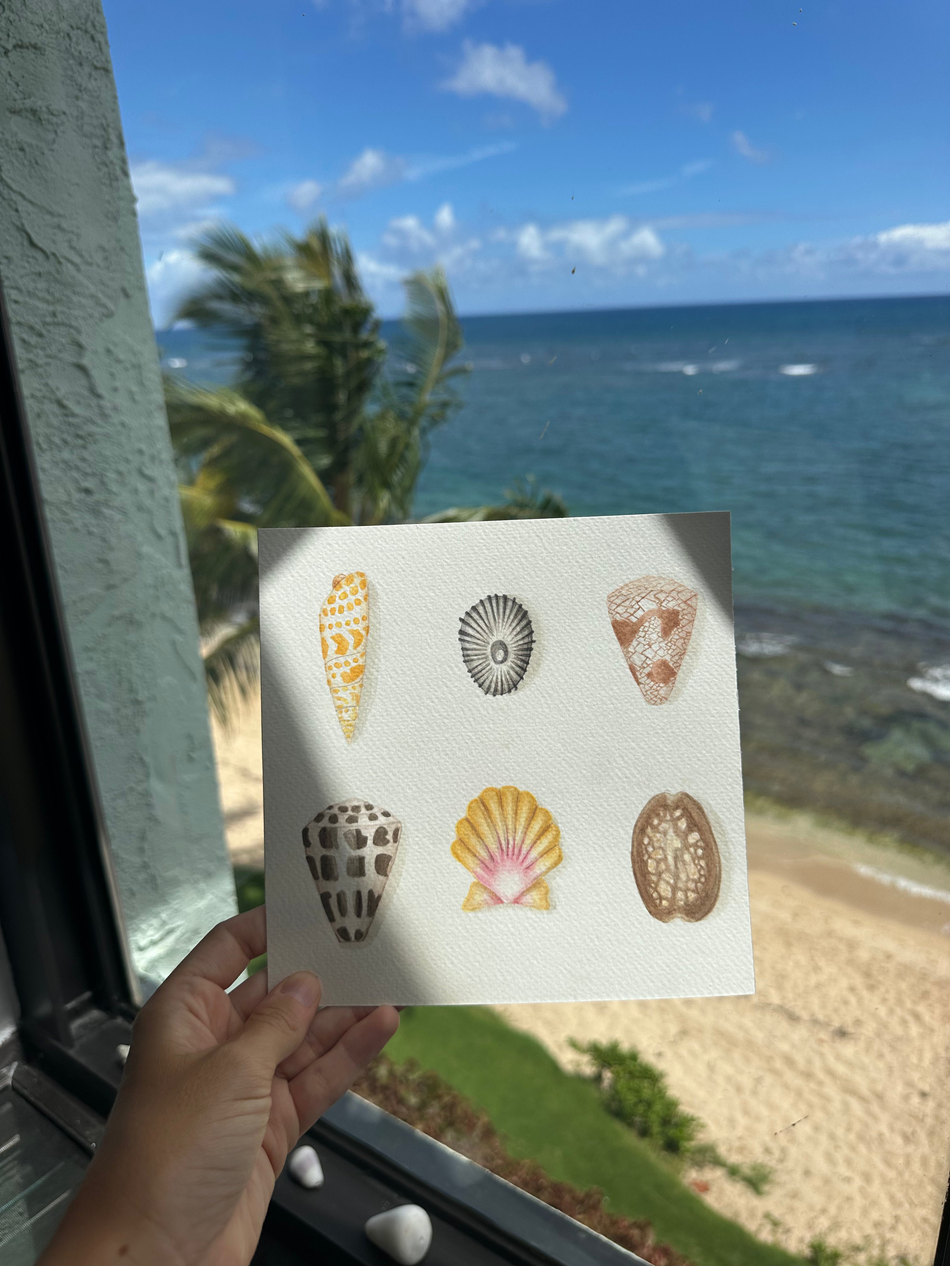 Six Shells Print