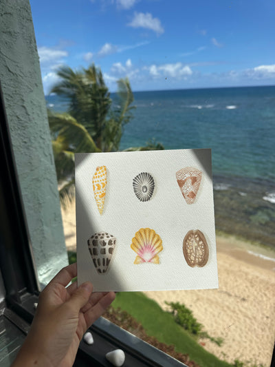 Six Shells Print