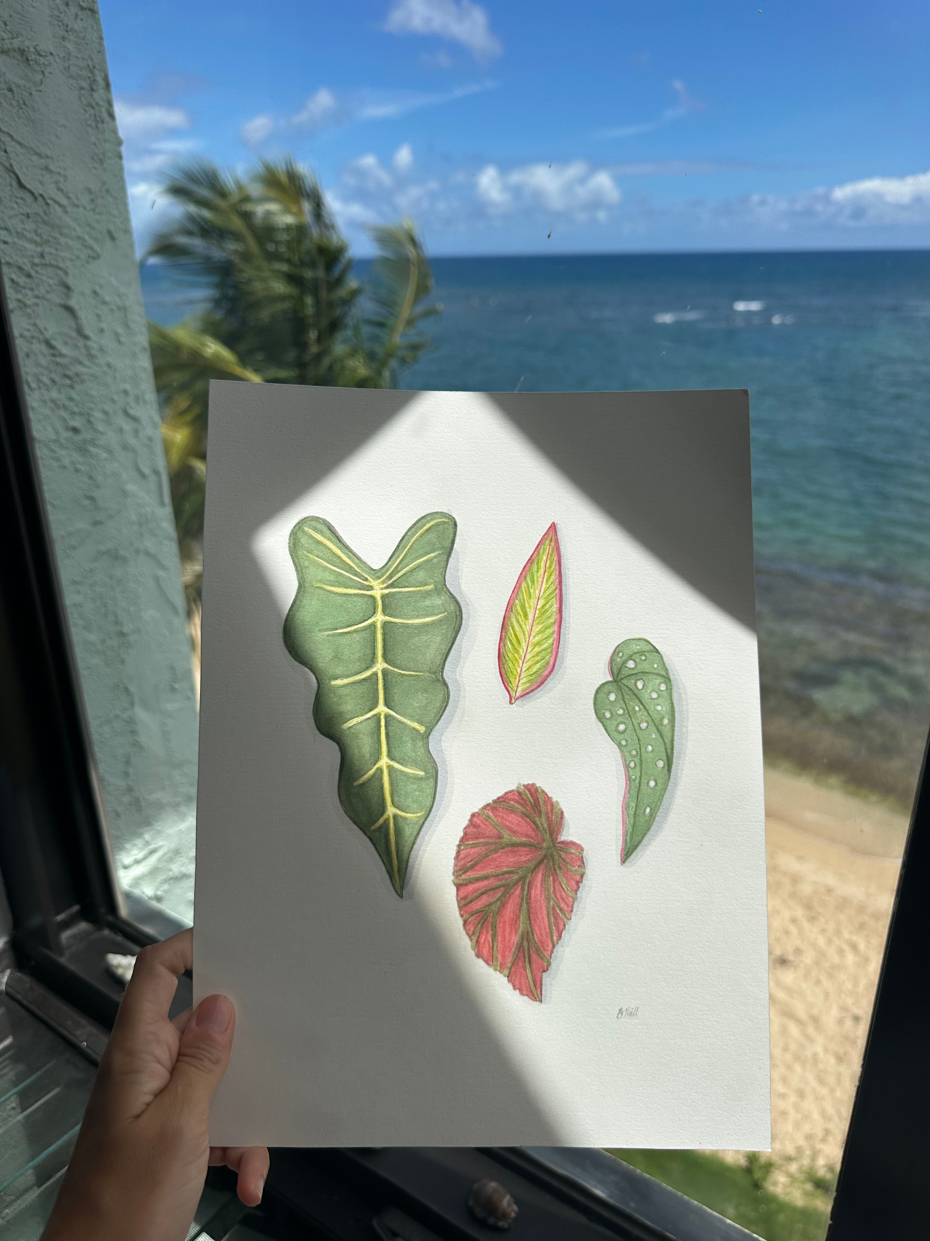 Tropical Leaves Print