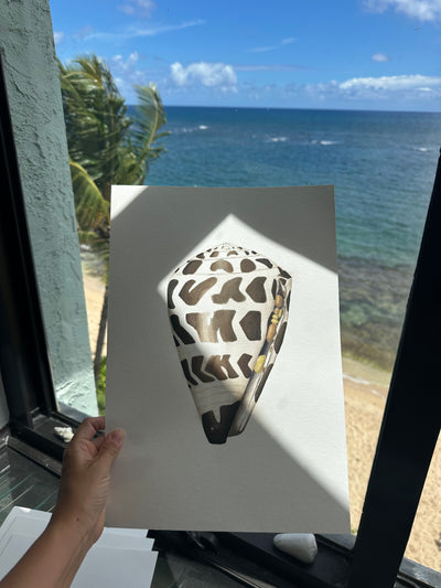Hebrew Cone Shell Print