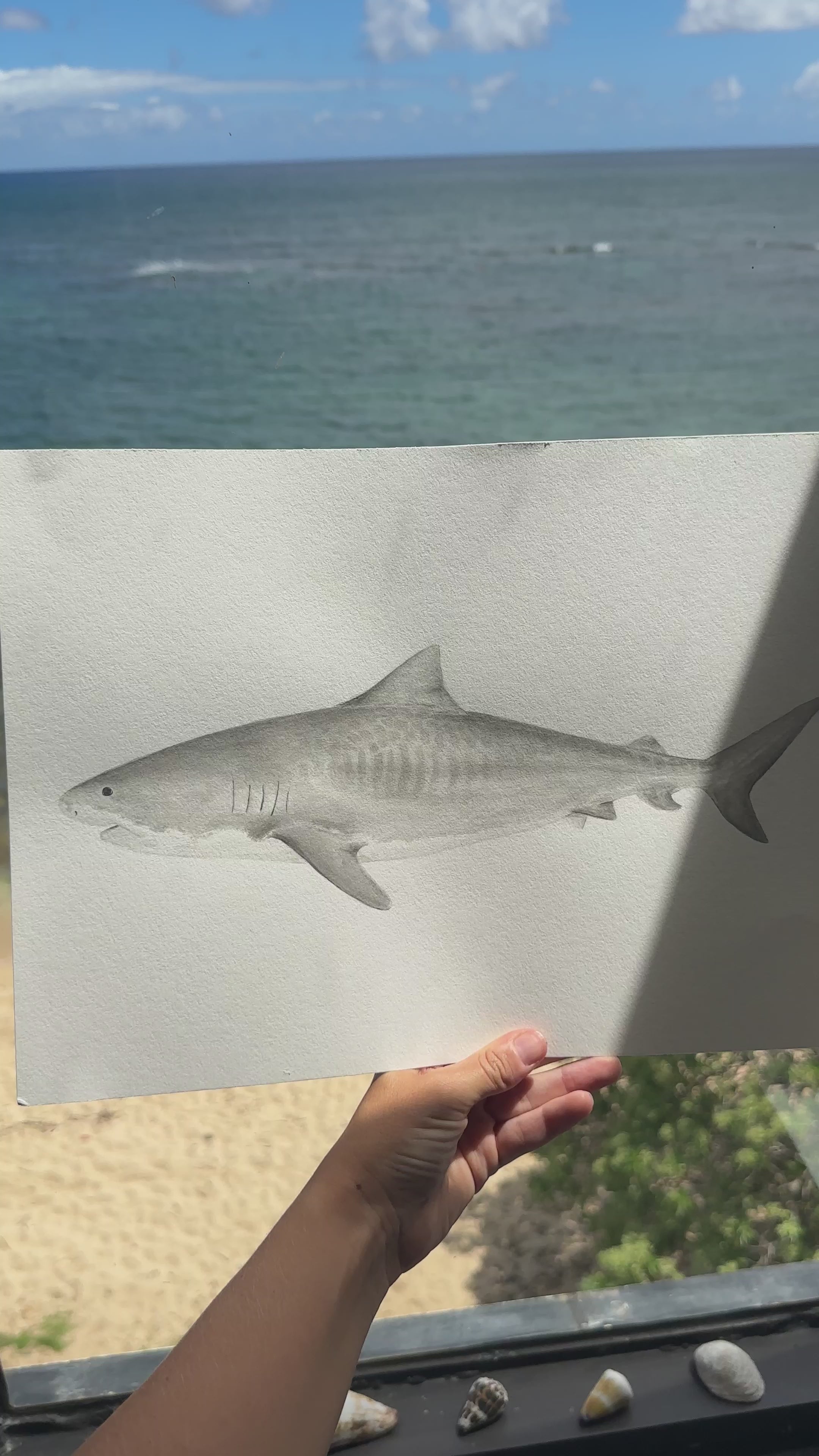 Tiger Shark Print
