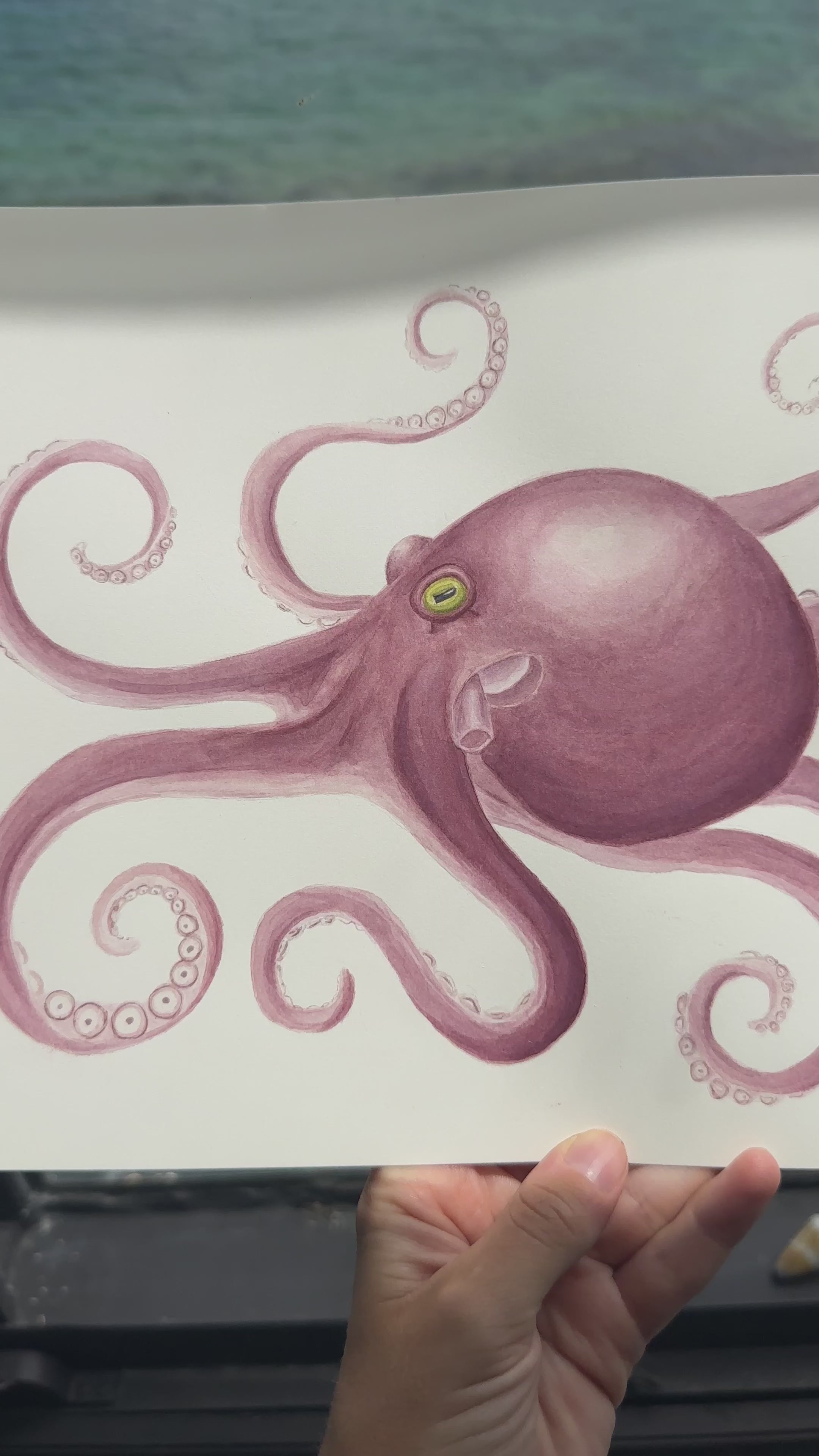 Tako Print