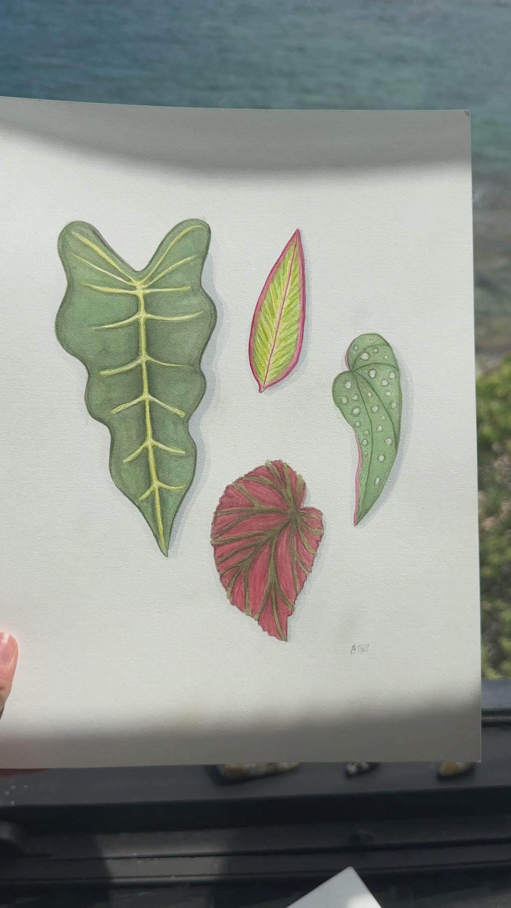 Tropical Leaves Print