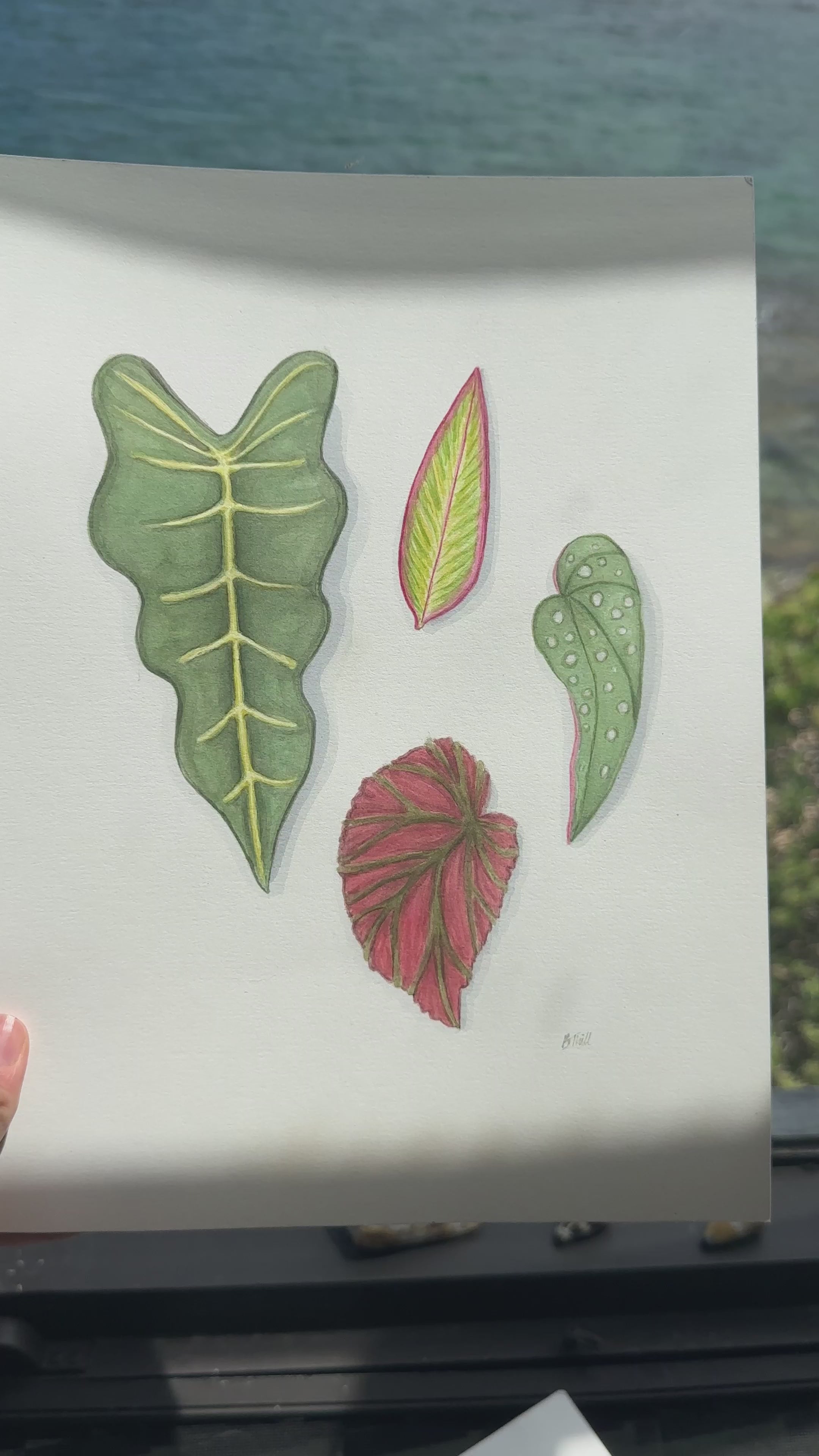 Tropical Leaves Print